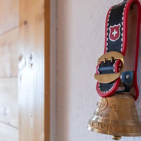 Bristol C40 By Interhome