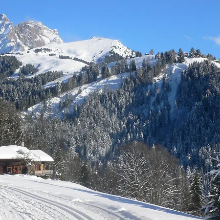 Bristol C40 By Interhome Apartment Villars-sur-Ollon