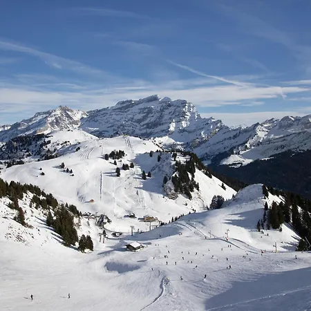 Appartamento Bristol C40 By Interhome