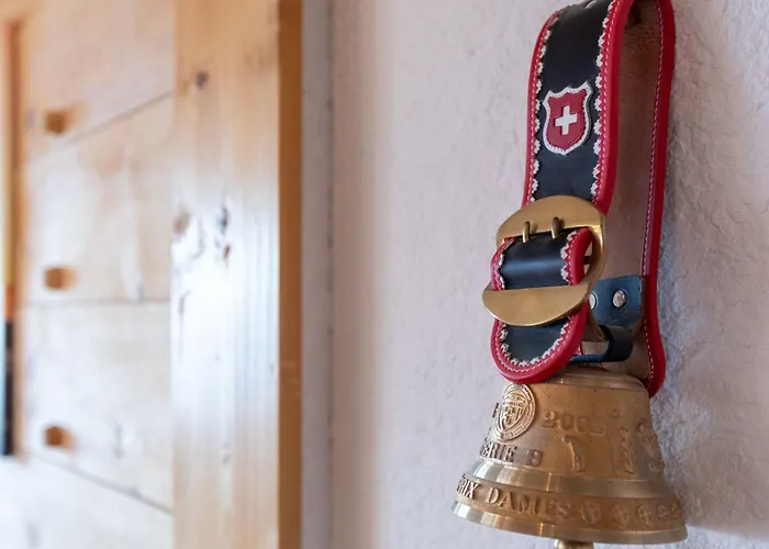 Bristol C40 By Interhome