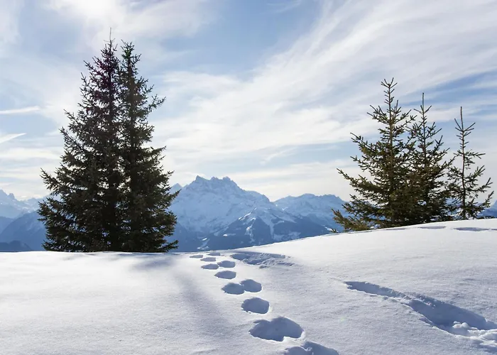 Bristol C40 By Interhome *