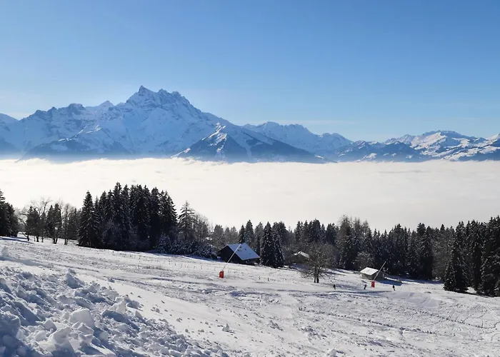 Apartman Bristol C40 By Interhome Villars-sur-Ollon